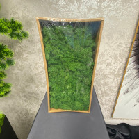 Dekoratif İzlanda Yosunu (Reindeer Moss) - 22262 -