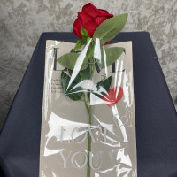 Love Baskılı Tek Gül Buketlik Jelatin 20li - 23157 -