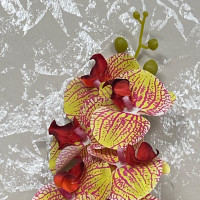 Premium Solmayan Yapay Islak Orkide - 50122 -