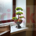 Yapay Ağaç Bonsai