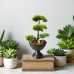 Yapay Ağaç Bonsai