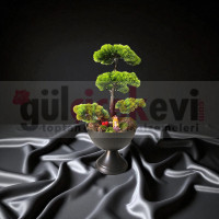 Yapay Ağaç Bonsai
