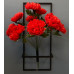 KASIMPATI 11´Lİ