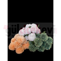 KASIMPAT 10´LU FR 136 KASIMPAT 10´LU FR 136