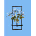 LİLYUM 7´Lİ