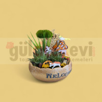 Canlı Kaktüs Arajmanı 