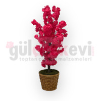 Bahardalı Ağacı Mini