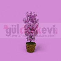 Bahardalı Ağacı Mini