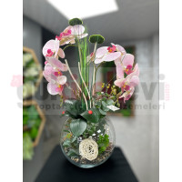 Islak Orkide Arajmanı