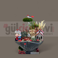 Canlı Kaktüs Arajmanı 