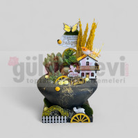 Canlı Kaktüs Arajmanı 