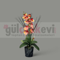 Renkli Islak Orkide Arajmanı