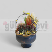 Canlı Kaktüs Arajmanı 