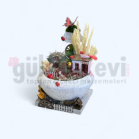 Canlı Kaktüs Arajmanı 