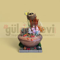 Canlı Kaktüs Arajmanı 