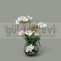 Islak Orkide Arajmanı