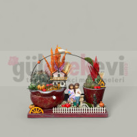 Canlı Kaktüs Arajmanı 