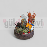 Canlı Kaktüs Arajmanı 