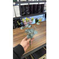 Dekoratif Okaliptüs Mini Demet - 50312 -