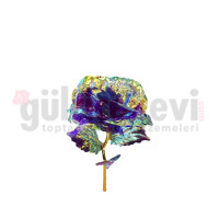 Sonsuzluk Gülü 10 Lu Paket 