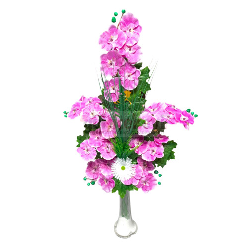 Orkideli Fil Ayağı