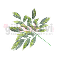 Ceviz Yaprağı 12 li M-3