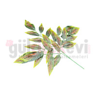 Ceviz Yaprağı 12 li M-2