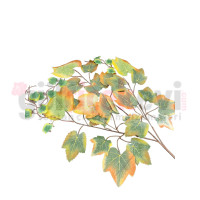 Çınar Yaprağı 12 li M-4