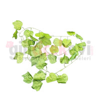 Sarmaşık Tek Dal 12 li