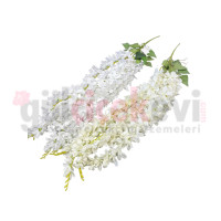 Sarmaşık Akasya Elit 