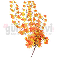 Sarmaşık Çınar M-2