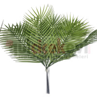 Palmiye Yaprağı Pls