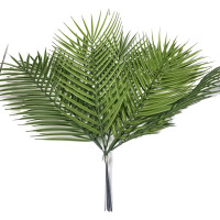 Palmiye Yaprağı Pls
