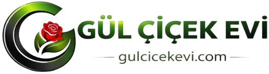 Gül Çiçek Evi